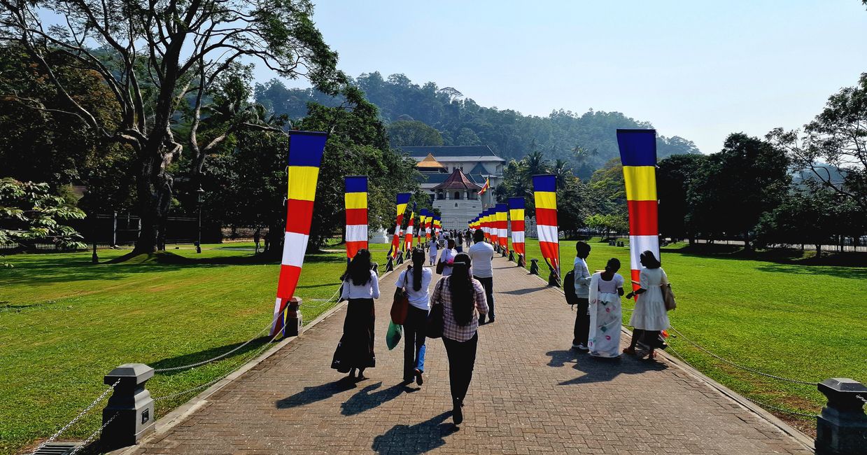 Kandy - Diente de Buda y 'la santa oásis de paz y iluminación'.