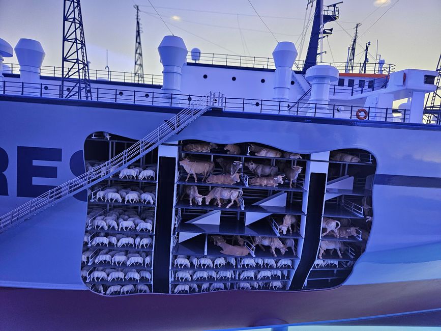 Meyer Werft 