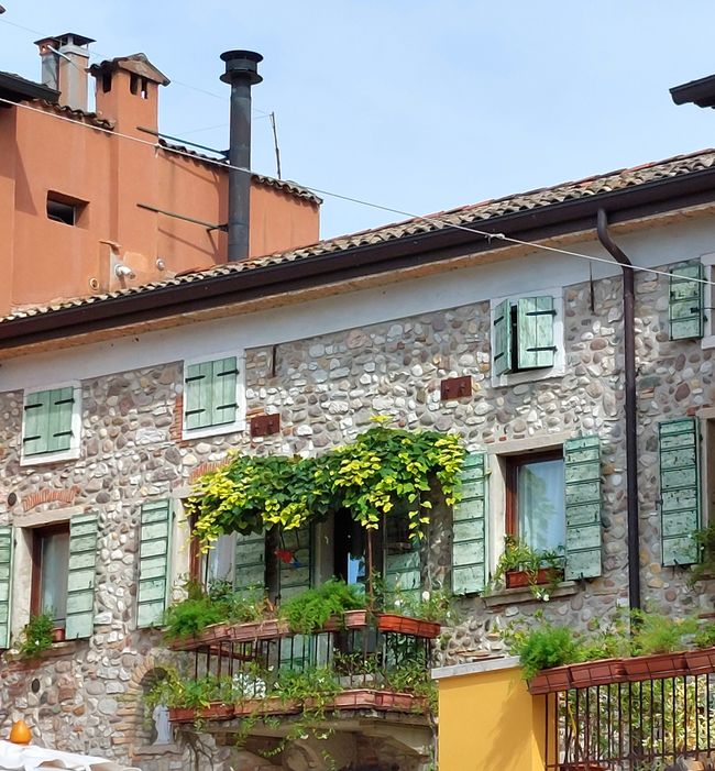 Lazise