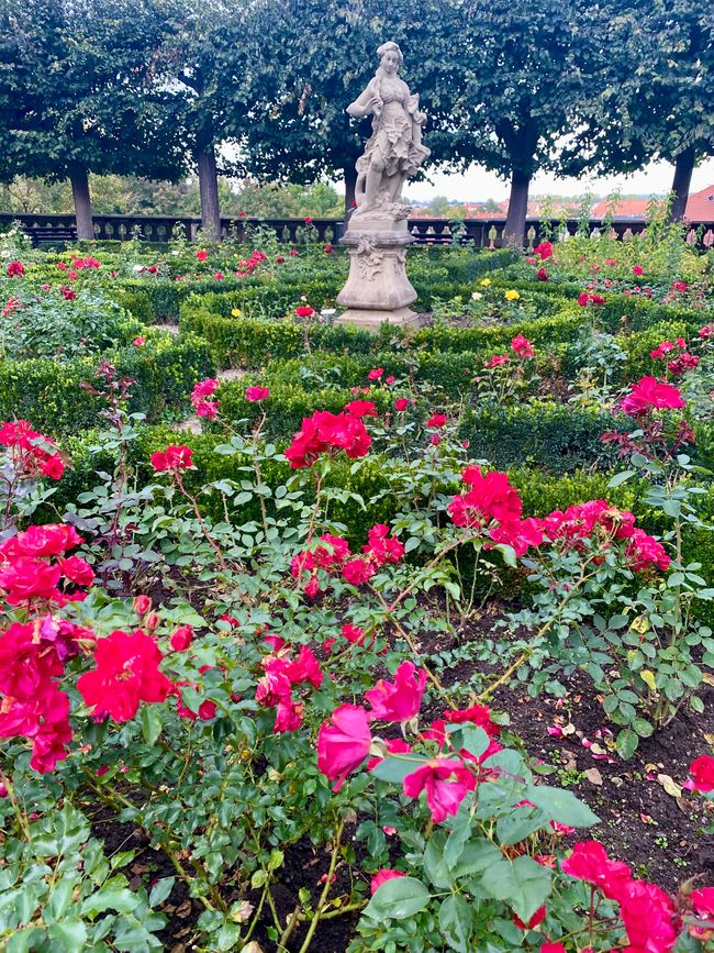 Letzte Station - Bamberg