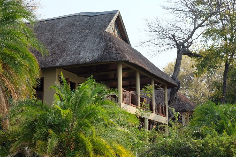 Along the Okavango