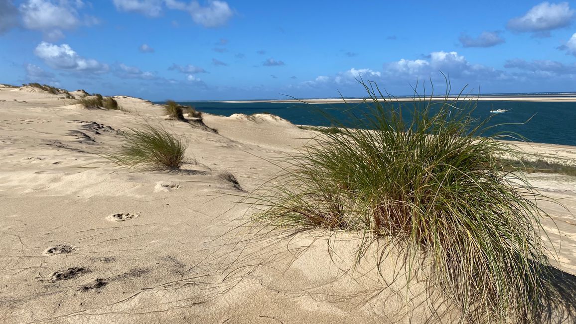 DUNE DU PILAT