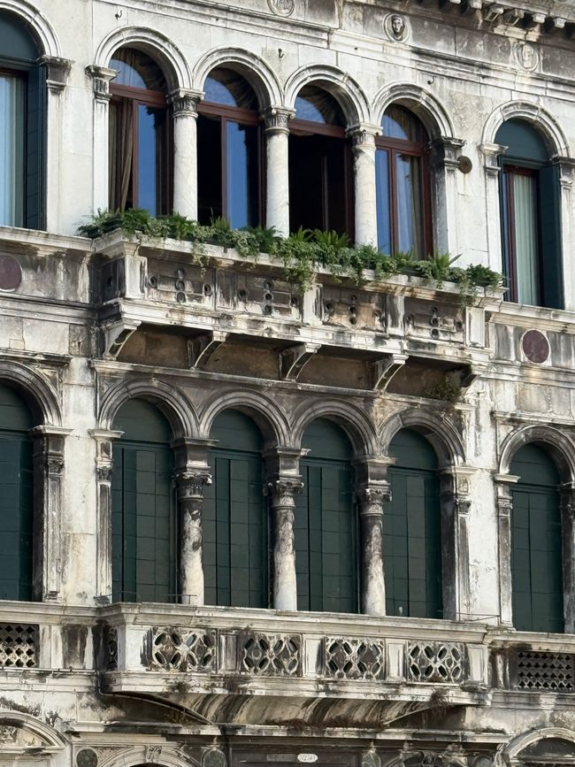 Venezia ☀️🇮🇹