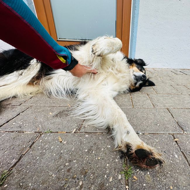 Moritz, der flauschige Sicherheitsdienst