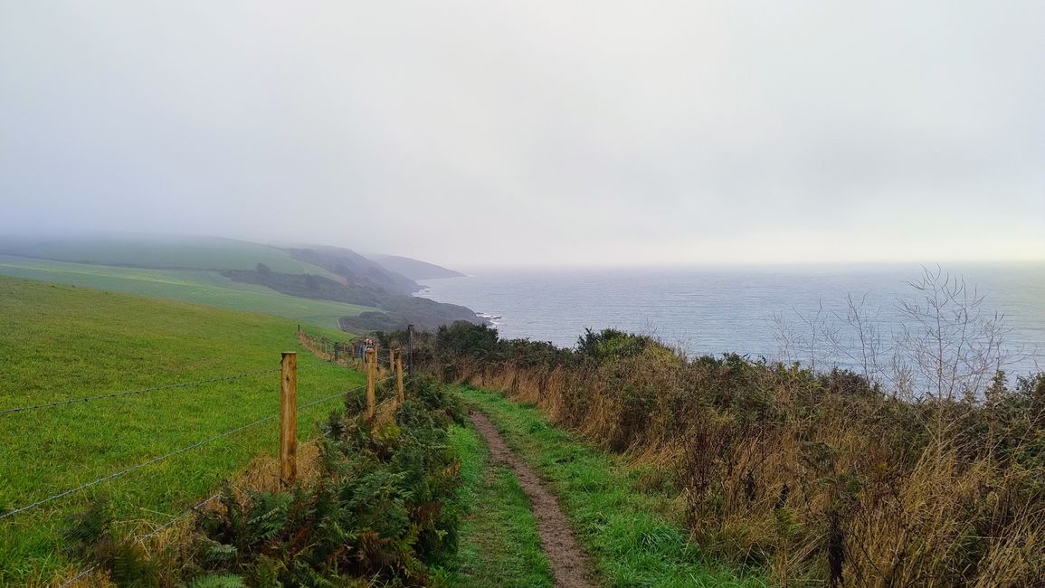 Blick auf Gribbin Head
