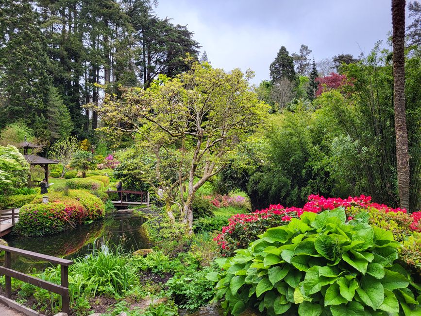 Powerscourt Gardens - Japanischer Garten