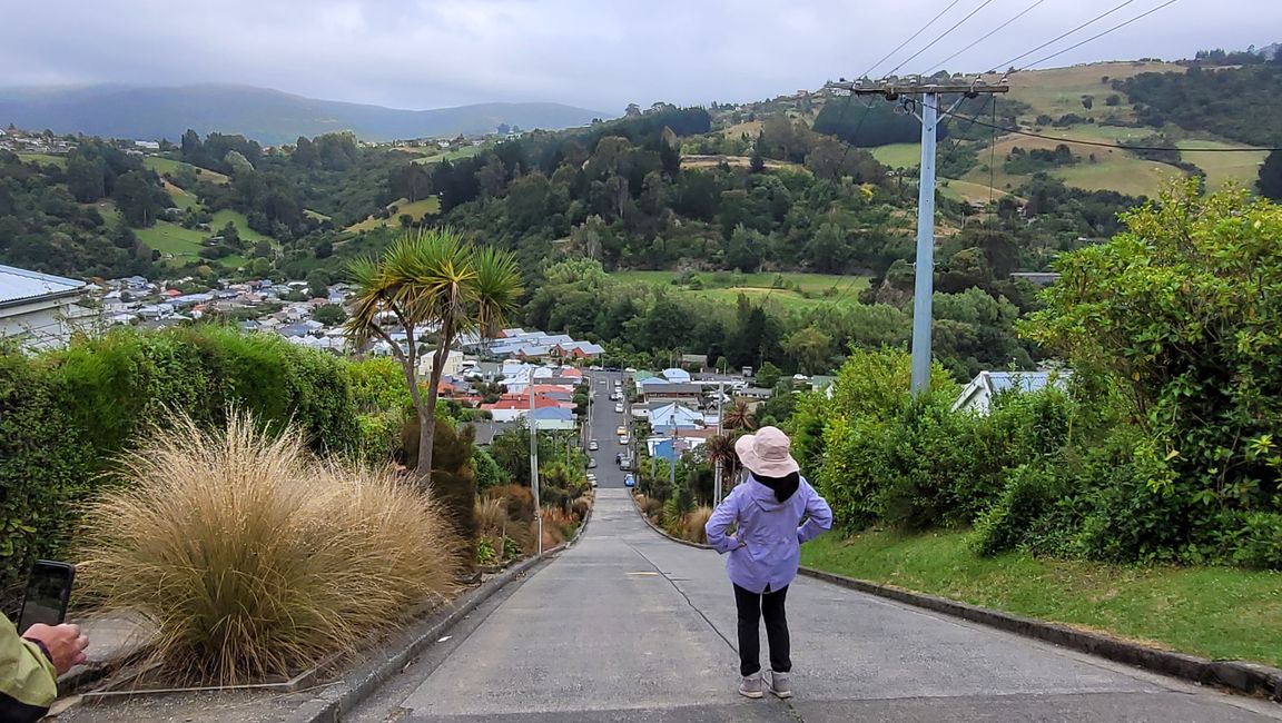 29.Januar -27.Februar 2025 Neuseeland
7.Februar
