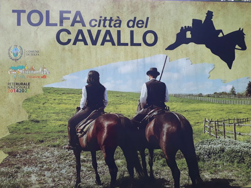 Tolfa, stolz auf den Titel, Stadt der Pferde zu sein