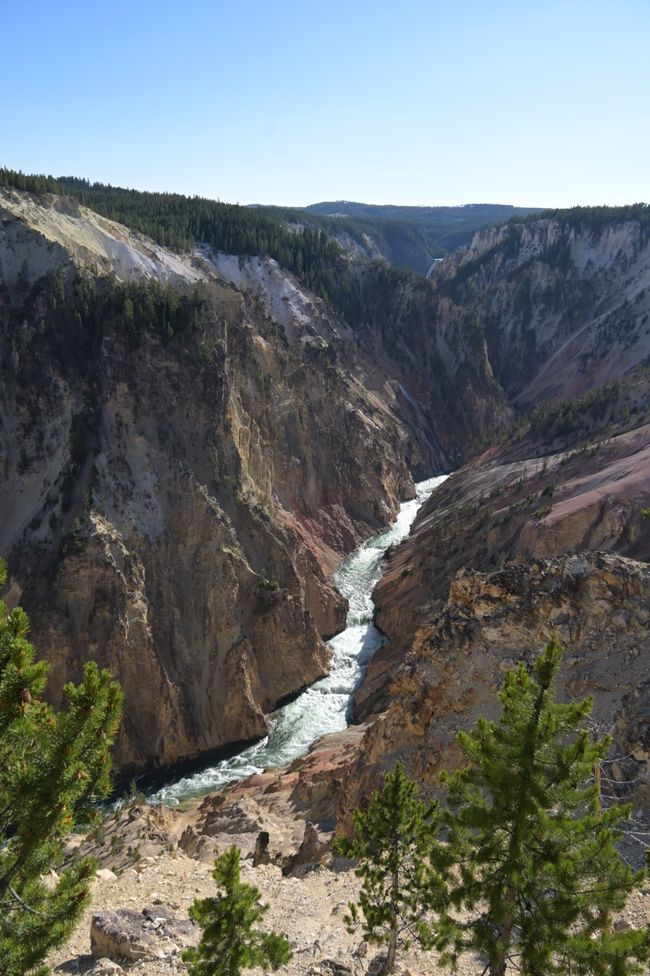 Grand Canyon de Yellowstone