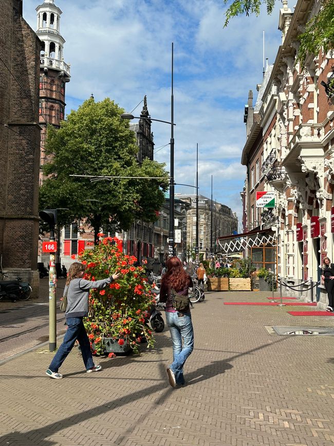 Tag Zwei Utrecht-Den Haag