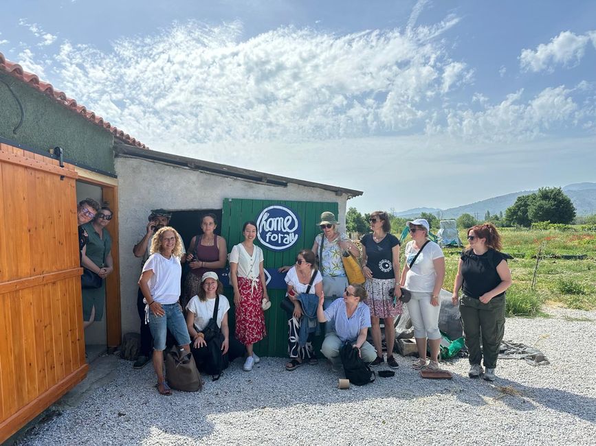 Tag 6: Irgendwas zwischen Ananas und Avocado - die Farm Home for all