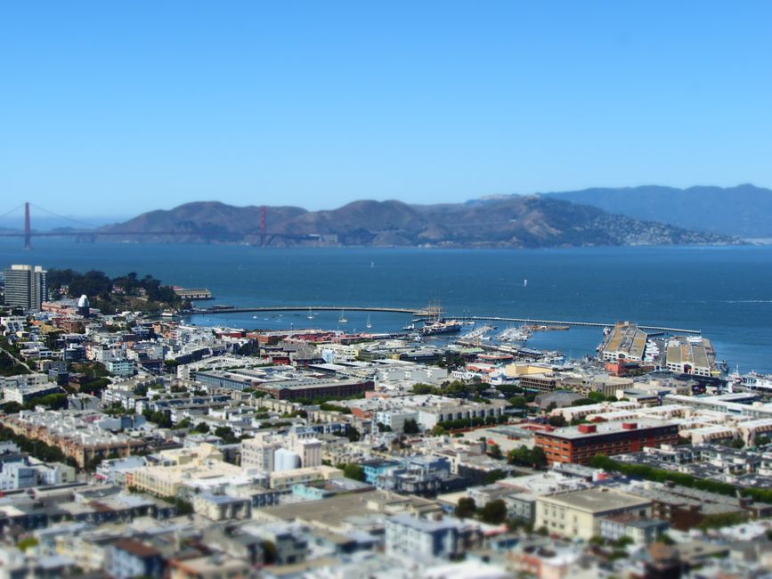 Day 13 - 11.9.2024
Coit Tower, Mama's & Giants Oracle Park