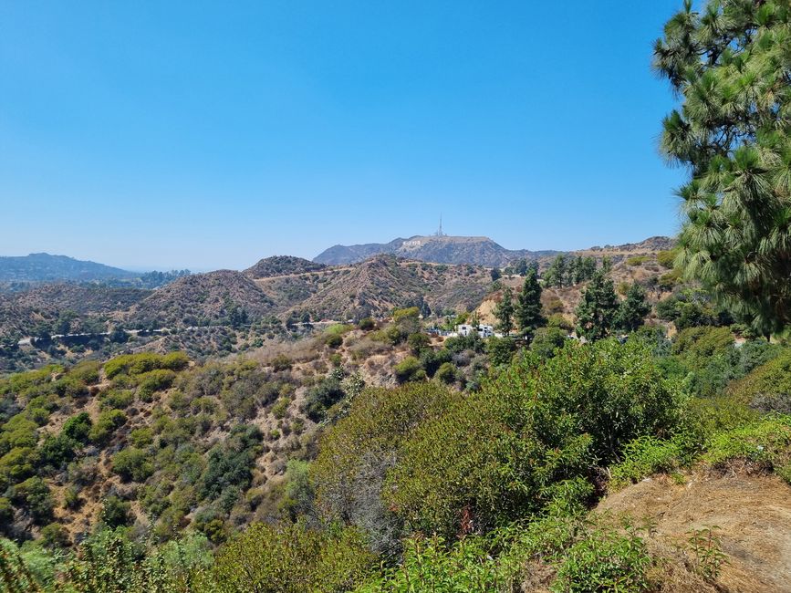 Kalifornien 2025, Tag 4, Shopping In Westchester, Griffith Observatory und Glendale