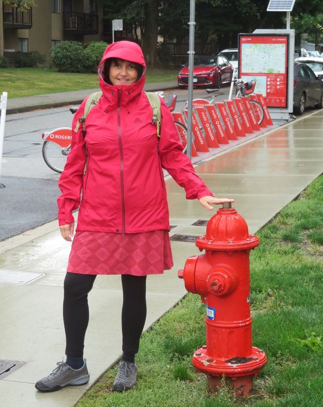 Lady in Red