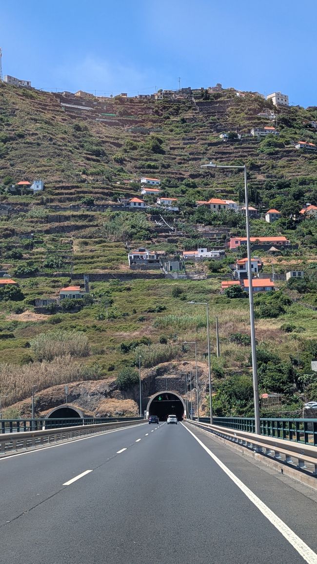 Day 15: The South Coast with Waterfall, Skywalk & Cristo Rei