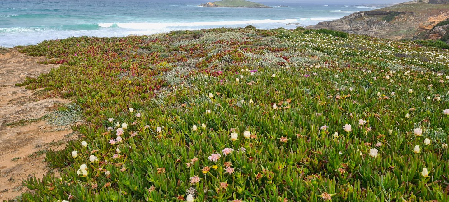2. Tappa Porto Covo - Vila Nova de Milfontes
