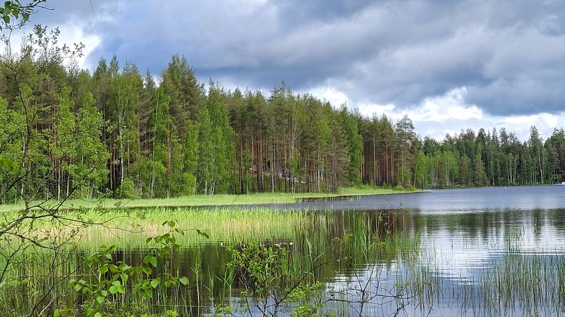 Finlandia 31 de mayo - 14 de junio de 2024/10 de junio