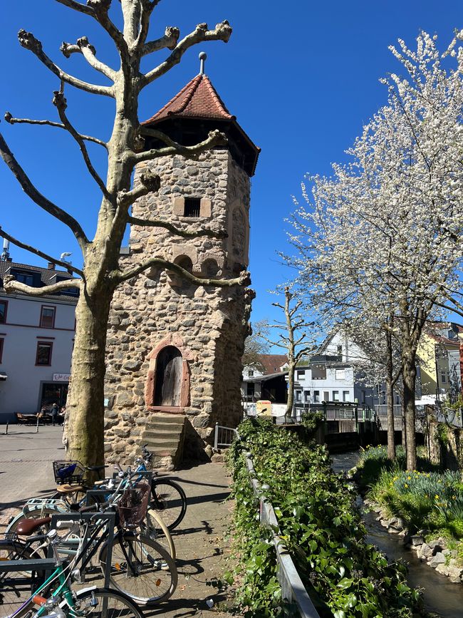 03 vers Darmstadt-Wixhausen