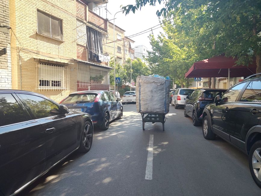Attraversamento delle Tartarughe