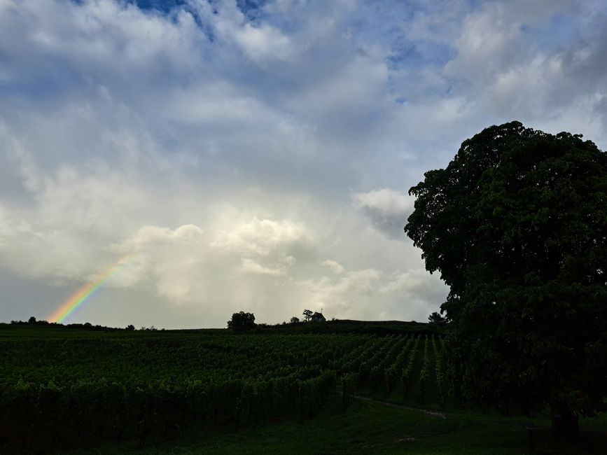 Dritter Regenbogen