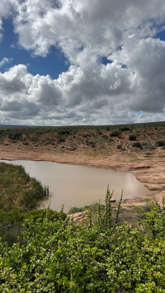 Addo Nationalpark
