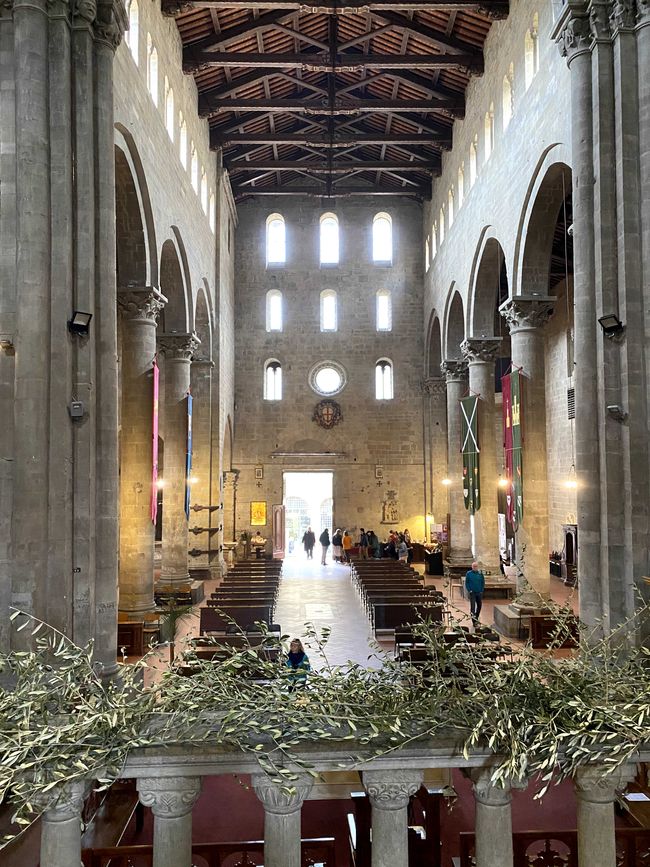 Santa Domenico