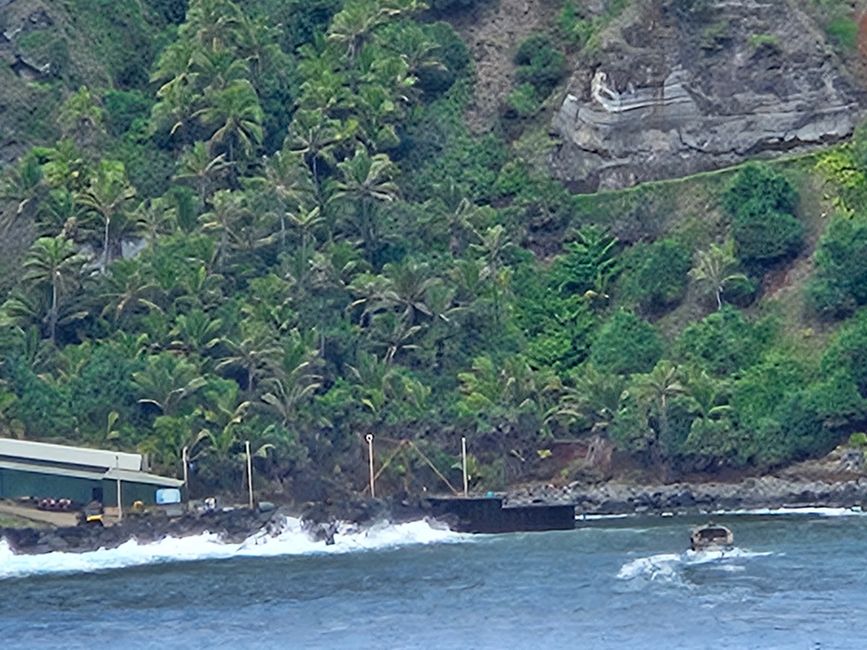 39. Tag Pitcairn Island, GB 02.01.2026
