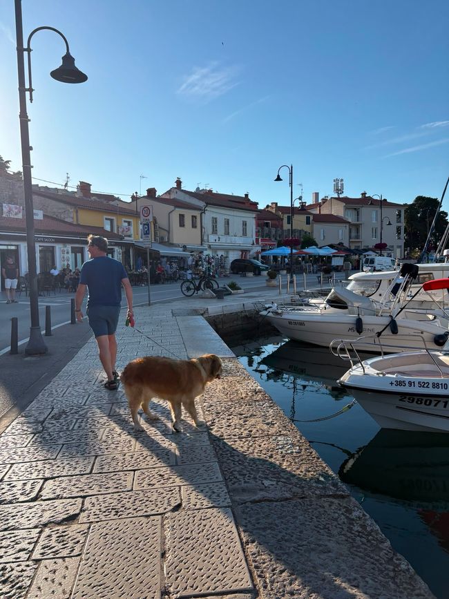 Un autre jour paresseux