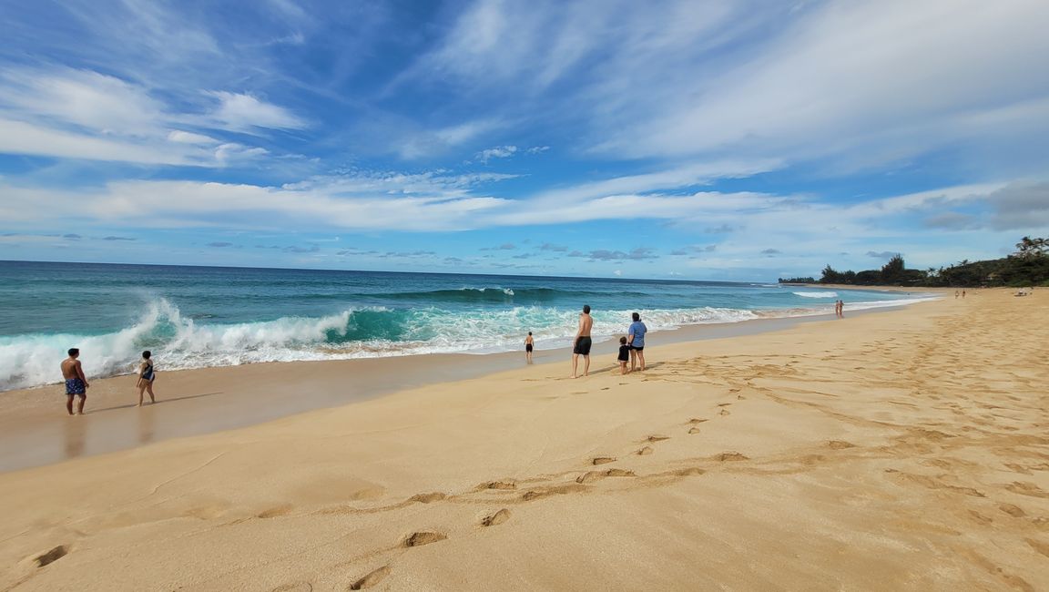 Snorkeling at Sharks Bay and more ...