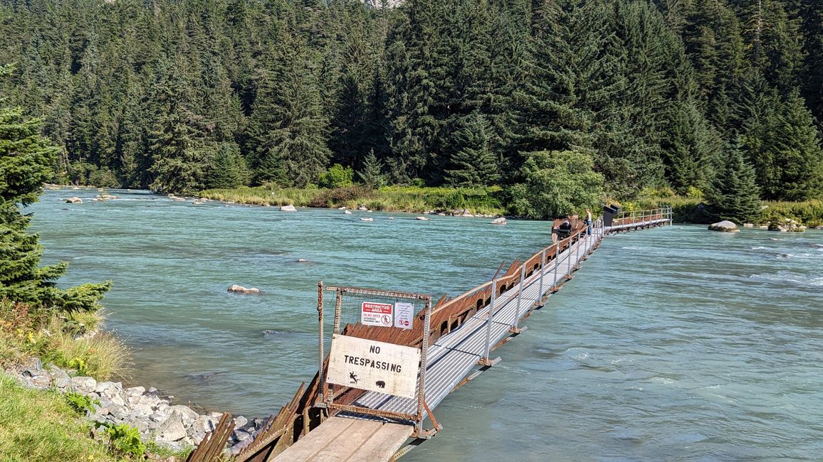 Day 25: Chilkoot Lake & more 'Bear' than we would like