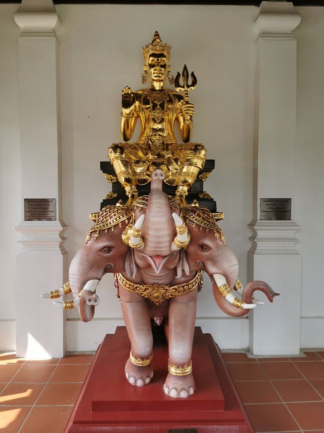 Elefant ...