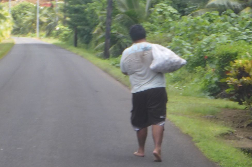 2025-04-30 Raiatea and Taha'a