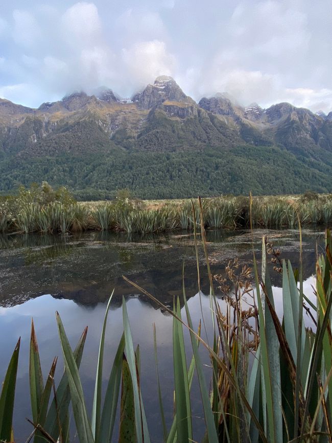 Road trip to Milford Sound