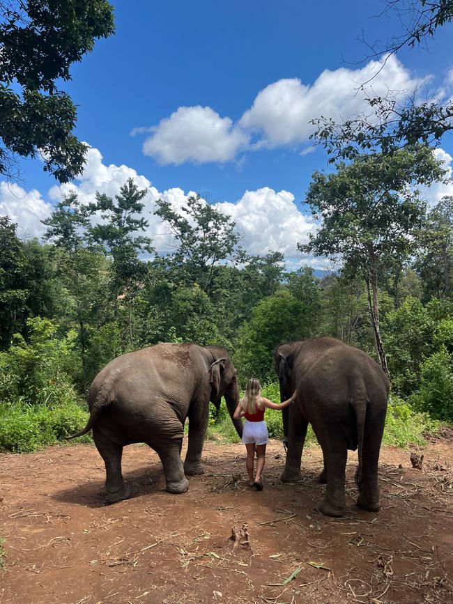 Chiang Mai