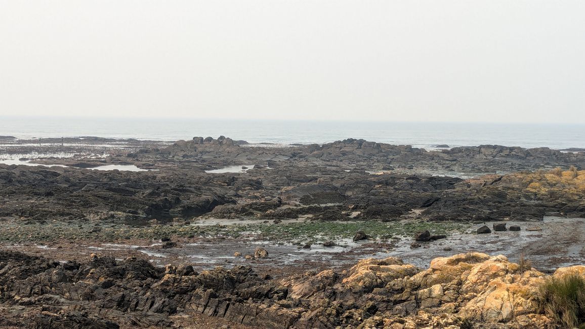 Vierte Etappe von Viana do Castelo bis nach Vila Praia de Ancora