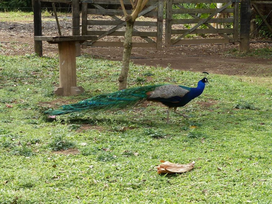 Refugio Canaa Brasil