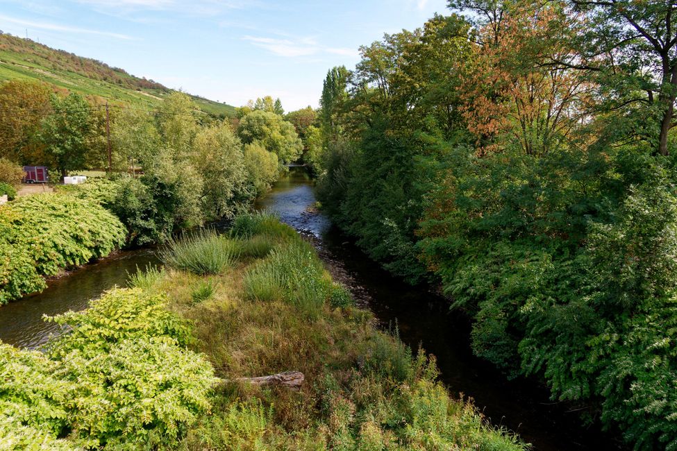 Reise in den Herbst