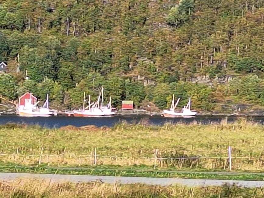 Tag 10 Salstraumen - Bod6