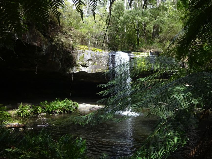 Lower Kalimna Falls