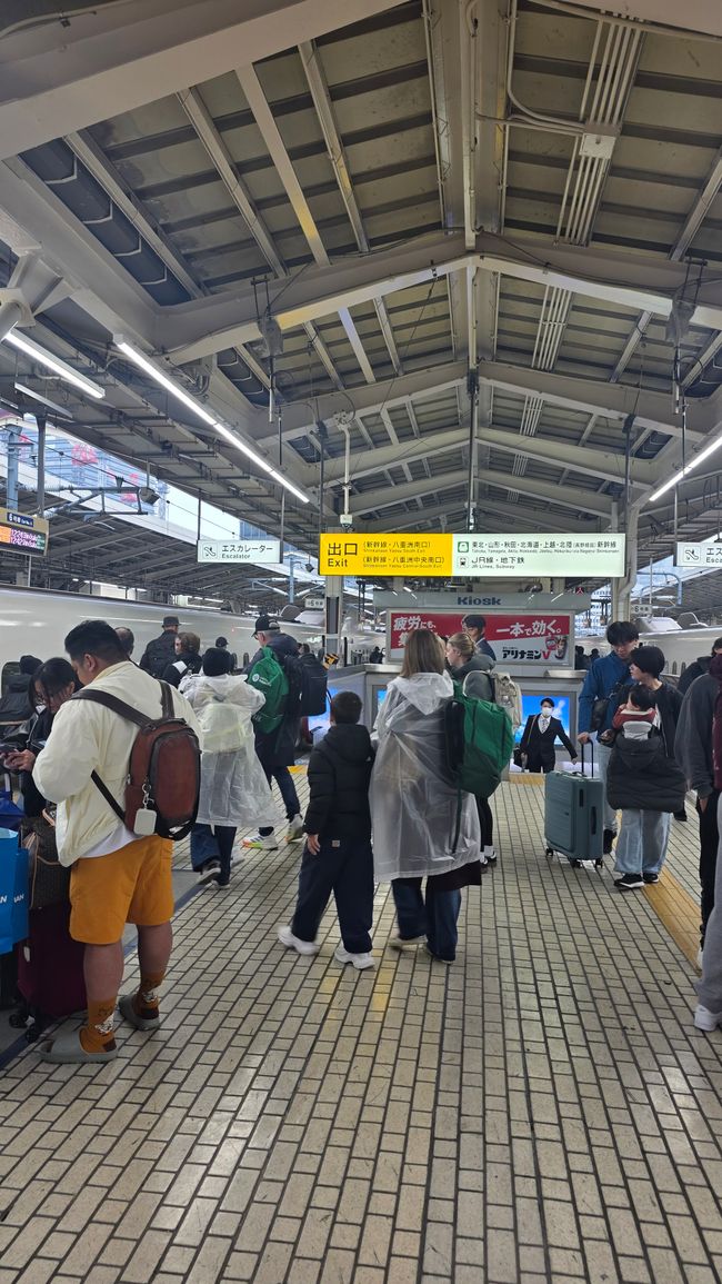 Eintritt in die heiligen Hallen