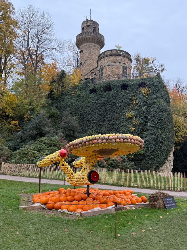 📍 Esposizione di zucche, Ludwigsburg/ 📍 Pumpkin exhibition, Ludwigsburg