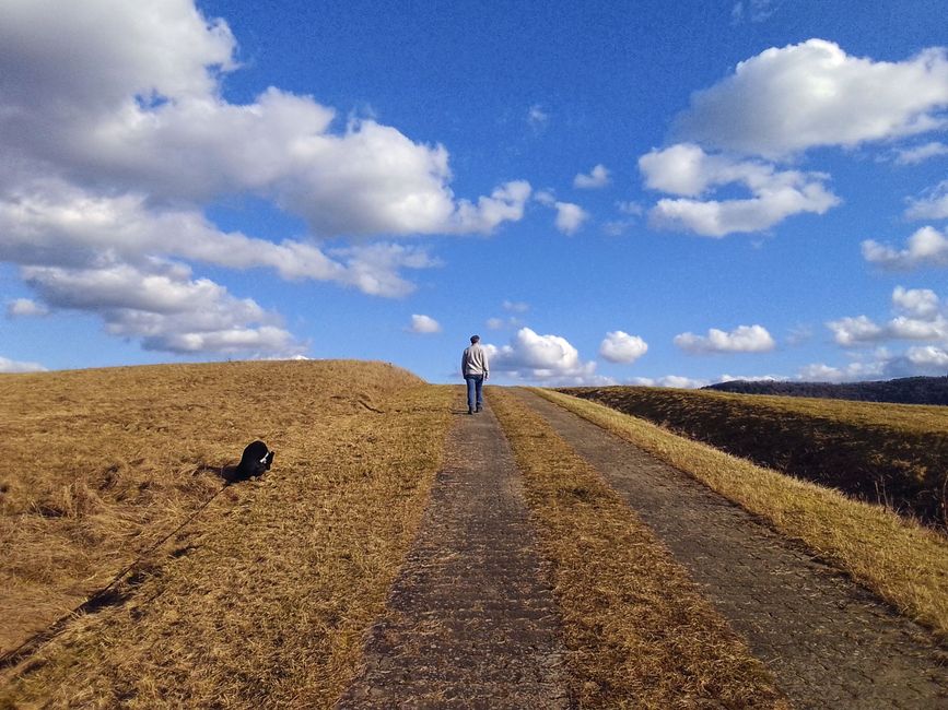 Wir bauen ein Fundament - Horizonte entdecken, Werte checken 