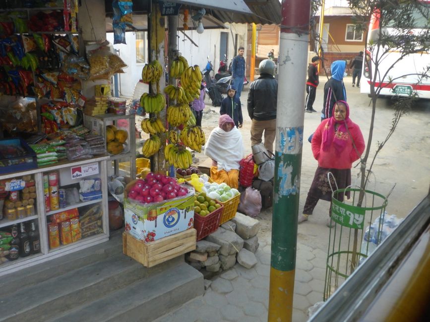 2024-11-18 Parque Nacional Chitwan