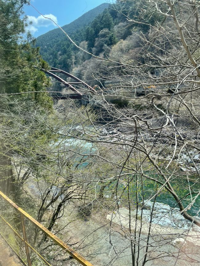 火车旅行