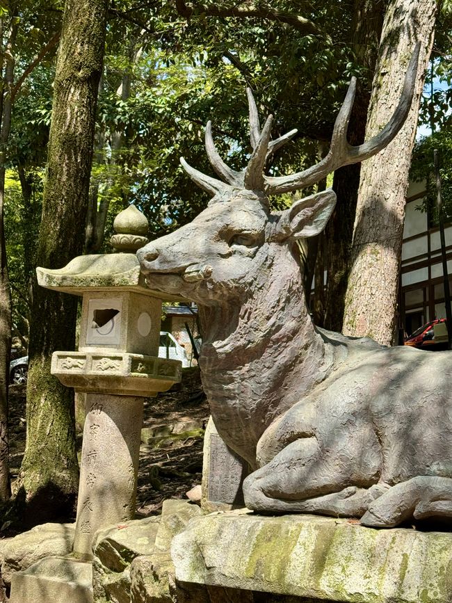 Part 8 Japan 🇯🇵 Kanazawa
