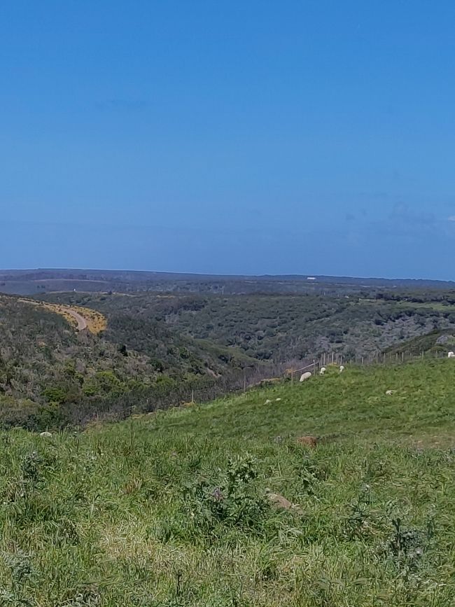 Sagres -> Vila do Bispo