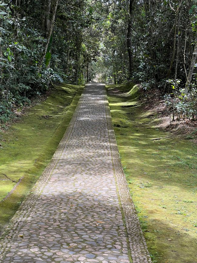 Étiquette 6/Lun, 2ème partie (Parc Archéologique de San Augustin)