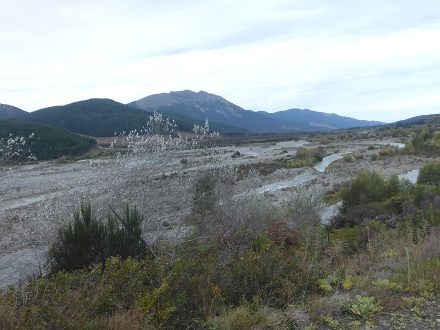 Wairau River