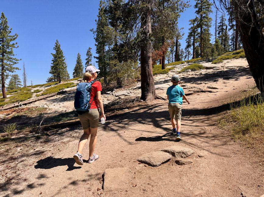 Glacier Point y secuoyas gigantes – los árboles más grandes del mundo