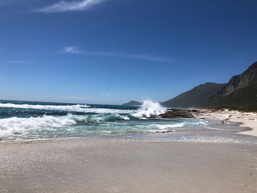 Scarborough Beach